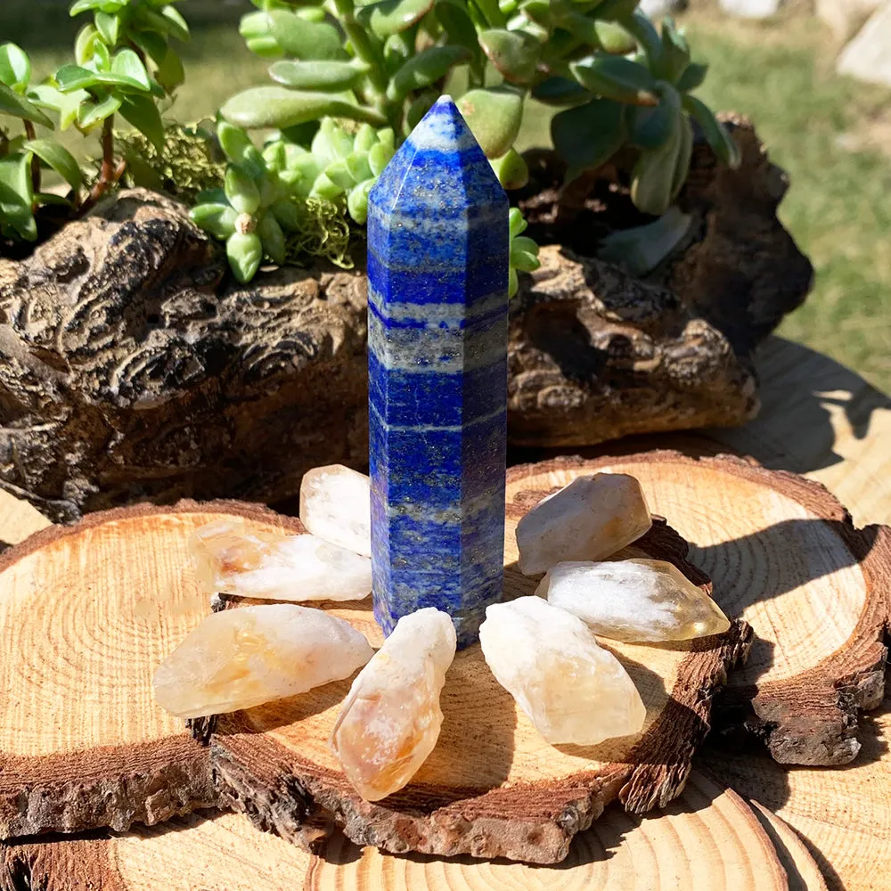 8-Piece Lapis Lazuli   Citrine Shards Set