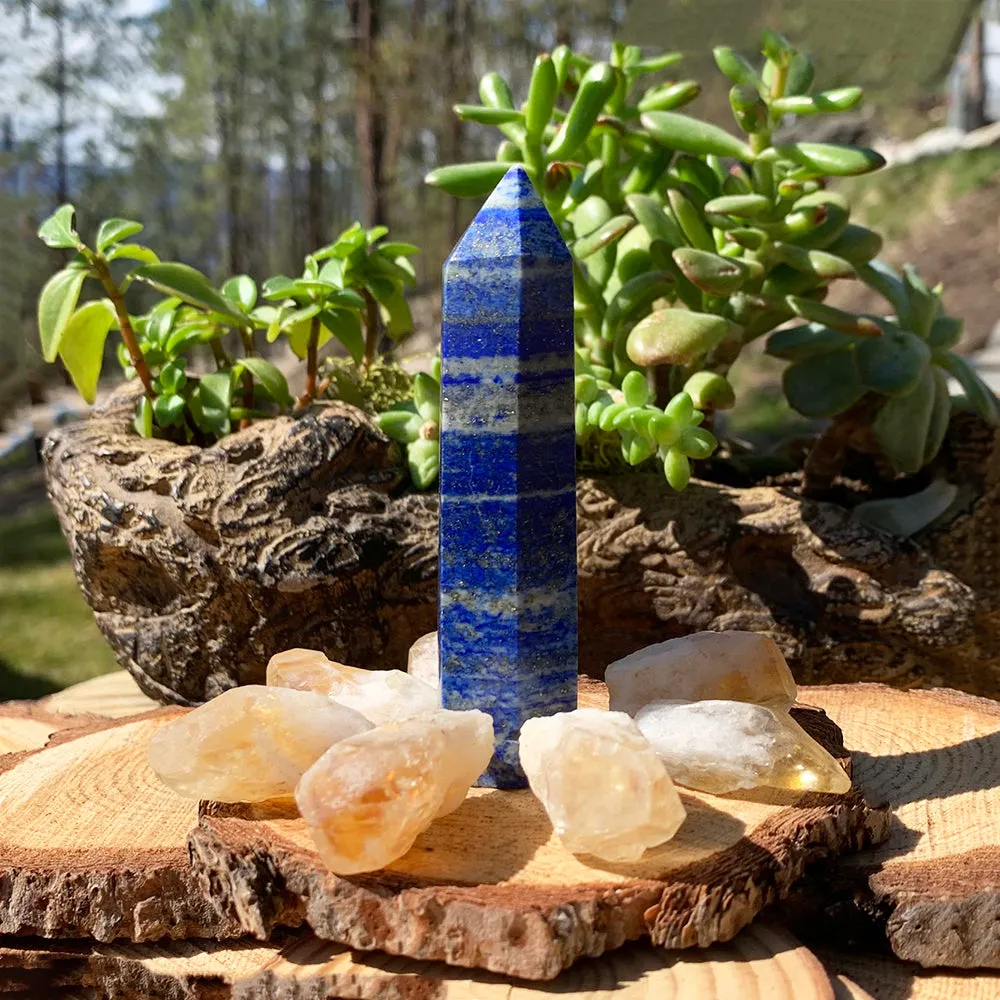 8-Piece Lapis Lazuli   Citrine Shards Set