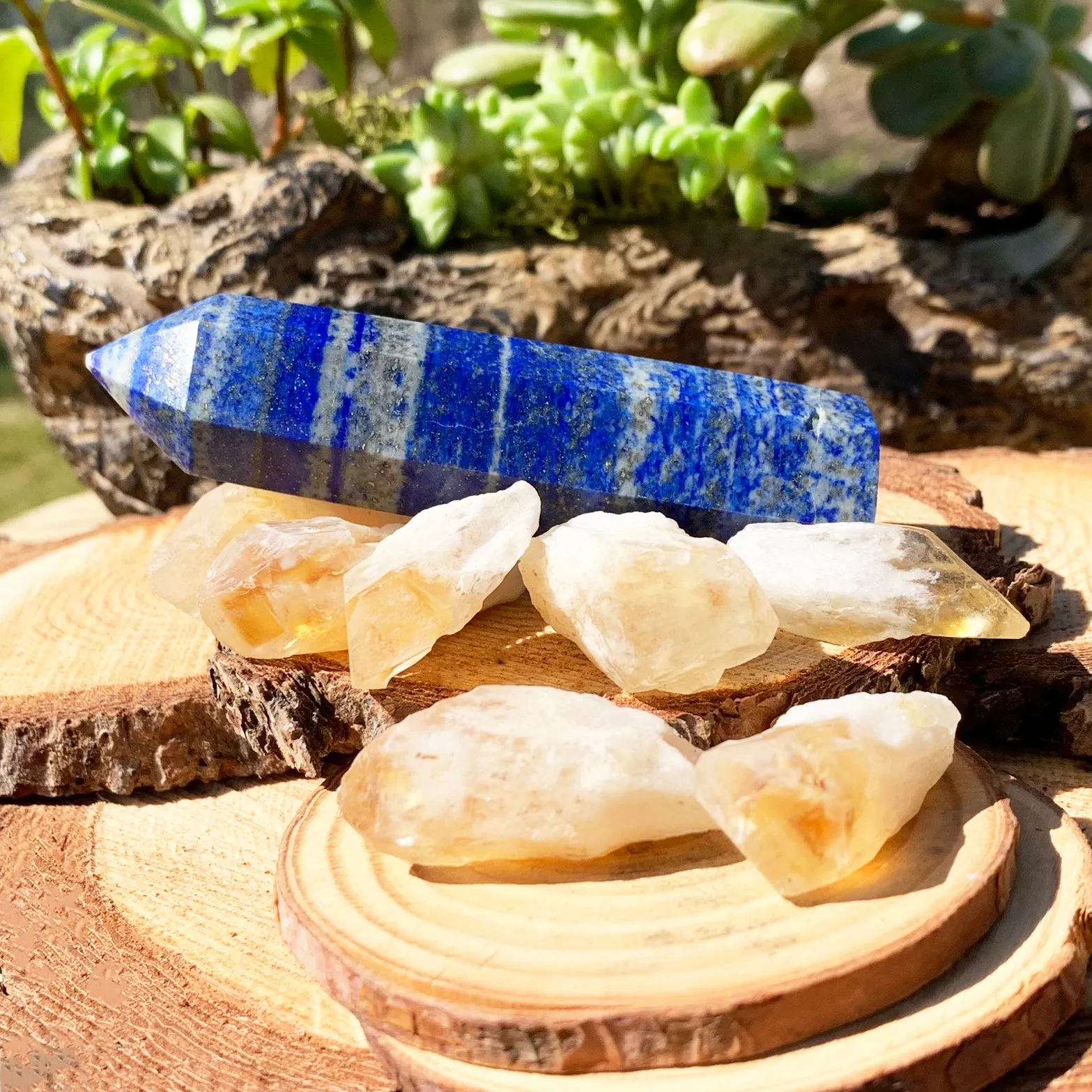 8-Piece Lapis Lazuli   Citrine Shards Set