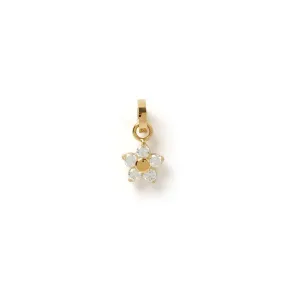 Gardenia Charm - Stone