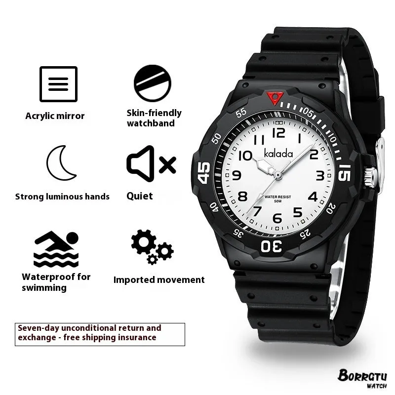 Men's Sports Luminous Pointer Quartz Watch